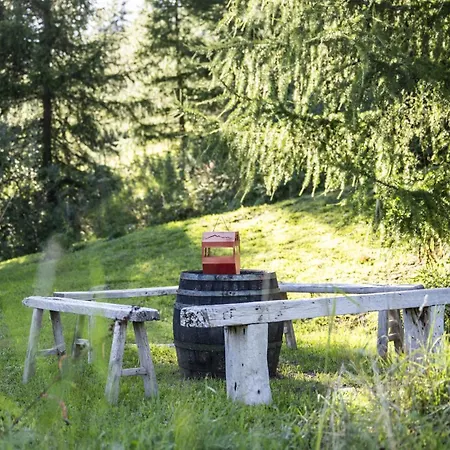 Chalet Bergchalet Floena *